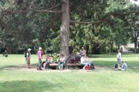 2017 07 09 11.54.57 2017 07 09 11.54.57