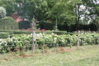 2017 07 09 12.29.58 2017 07 09 12.29.58