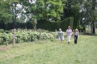 2017 07 09 12.30.02 2017 07 09 12.30.02