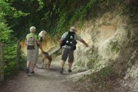 2017 07 09 12.55.00 2017 07 09 12.55.00