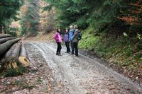 13 11 2016 Hubertuswanderung 003