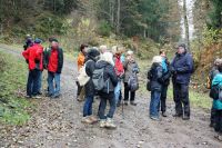 13 11 2016 Hubertuswanderung 020
