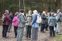 13 11 2016 Hubertuswanderung 023