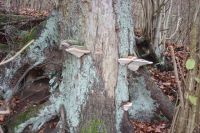 2016 11 27 Booser  Doppelmaartour 018