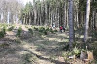 026 Hep 2017 03 26 12.19.09 026 Hep 2017 03 26 12.19.09