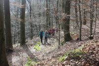 2017 03 12 11.16.48 2017 03 12 11.16.48