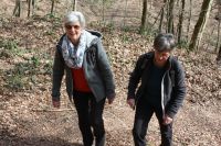 2017 03 12 11.16.58 2017 03 12 11.16.58