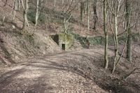 2017 03 12 11.20.59 2017 03 12 11.20.59