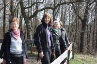 2017 03 12 11.37.52 2017 03 12 11.37.52