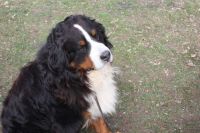 2017 03 12 11.59.20 2017 03 12 11.59.20