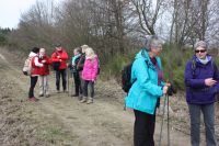 2017 03 12 13.54.15 2017 03 12 13.54.15