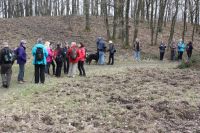 2017 03 12 14.06.44 2017 03 12 14.06.44