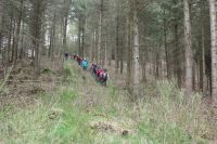 017 WA 2017 04 06 14.40.32 017 WA 2017 04 06 14.40.32