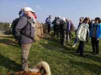 IMG 20190331 103141 IMG 20190331 103141