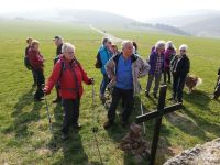 IMG 20190331 103330 IMG 20190331 103330