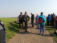 IMG 20190331 110754 IMG 20190331 110754