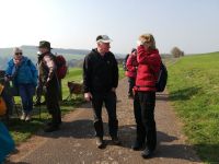 IMG 20190331 110854 IMG 20190331 110854