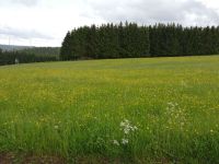 IMG 20210603 144253 IMG 20210603 144253