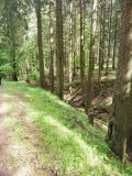 IMG 20210603 155310 IMG 20210603 155310