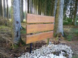 IMG 20210909 154247 IMG 20210909 154247