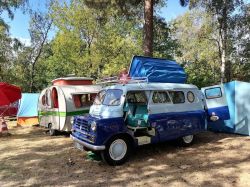 IMG 20220821 WA0065 IMG 20220821 WA0065