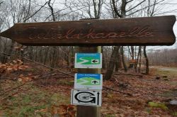 20230219 135440 20230219 135440