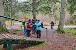 20230219 135460 20230219 135460