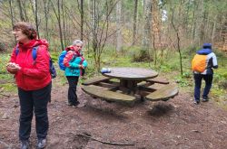 20230219 135461 20230219 135461