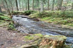 20230219 135463 20230219 135463