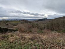 PXL 20241215 110844811 PXL 20241215 110844811