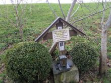 PXL 20241215 111239780 PXL 20241215 111239780