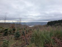 PXL 20241215 111705973 PXL 20241215 111705973