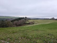 PXL 20241215 122731784 PXL 20241215 122731784