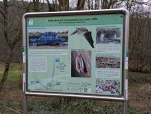 PXL 20241215 132140240.MP PXL 20241215 132140240.MP