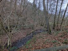 PXL 20241215 134719167 PXL 20241215 134719167