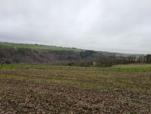 PXL 20241215 143137844 PXL 20241215 143137844