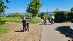 20250511 112222 20250511 112222