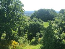 IMG 20250511 WA0015 IMG 20250511 WA0015