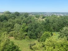 IMG 20250511 WA0016 IMG 20250511 WA0016