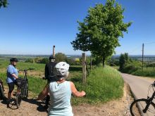 IMG 20250511 WA0020 IMG 20250511 WA0020