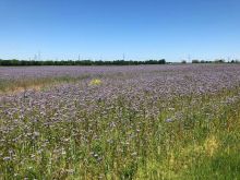 IMG 20250511 WA0034 IMG 20250511 WA0034