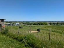 PXL 20250511 102950202 PXL 20250511 102950202