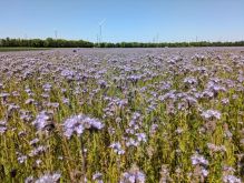 PXL 20250511 120621239.MP PXL 20250511 120621239.MP