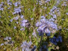 PXL 20250511 120624947 PXL 20250511 120624947