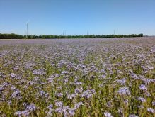 PXL 20250511 120634049.MP PXL 20250511 120634049.MP