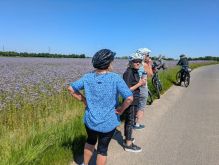 PXL 20250511 120803541 PXL 20250511 120803541