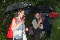 Eifelsteig Manderscheid Himmerod 11