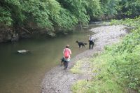 Eifelsteig Manderscheid Himmerod 7