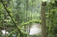 Eifelsteig Manderscheid Himmerod 9